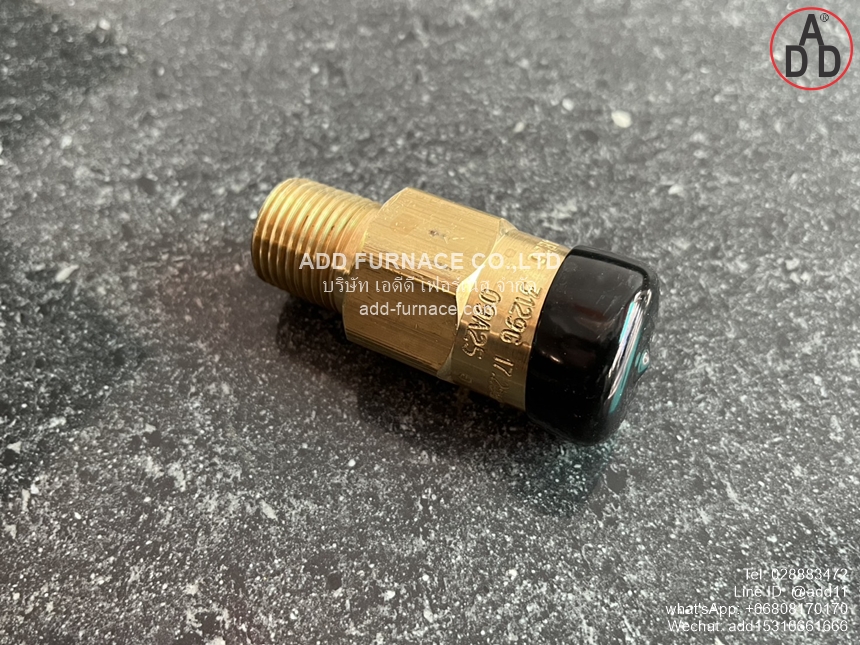 Rego 3129G Safety Relief Valve (10)